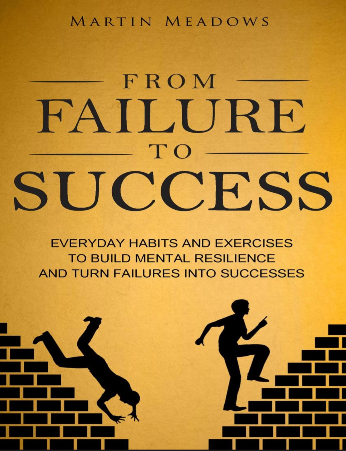 From Failure to Success eBook